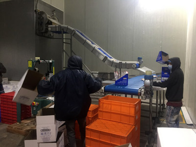 Packaging line